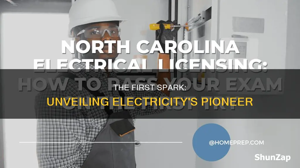 who is credited with first understanding electricity