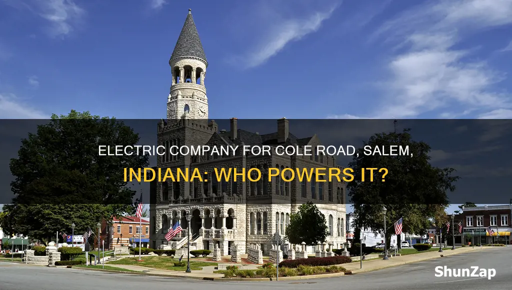 who is electric company for cole road salem indiana