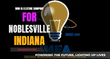 Illuminating Noblesville: Electric Company's Impact on Indiana's Noble Community