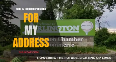 Electric Provider for Your Address: How to Find Out?