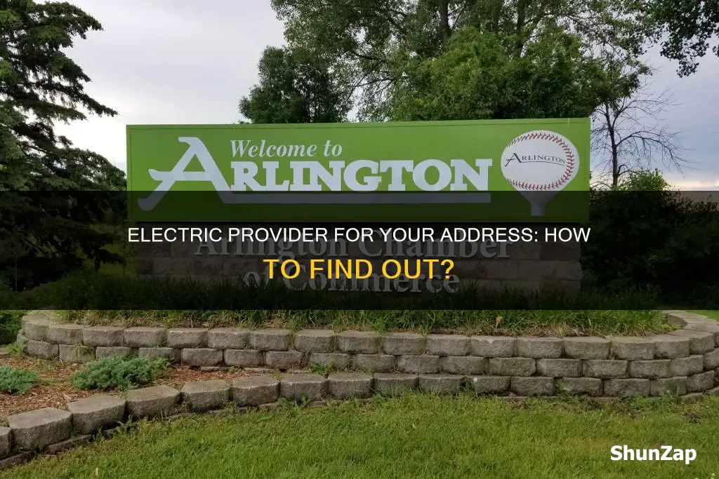 who is electric provider for my address