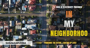 Electricity Providers: Know Your Local Options