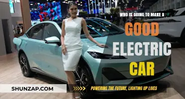 Top Contenders Shaping the Future of Electric Vehicles: Who Will Lead?