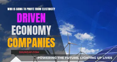 Unlocking Profits: Who Benefits from the Electric Economy Revolution