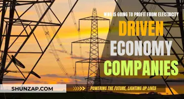 Electric Economy: Who Benefits From the Power Shift?