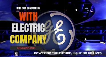 The Future of Energy: Electric Companies' Competition