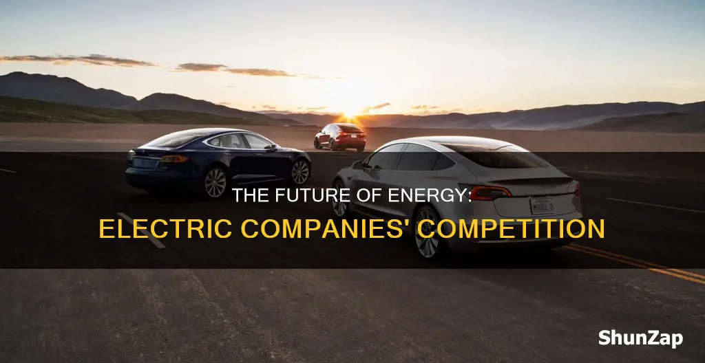 who is in competition with electric company