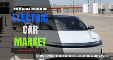 Katusa's Electric Car Market Pick: Who's Leading the Charge?