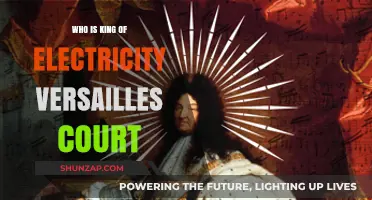 Electricity's King: Versailles' Court Intrigues