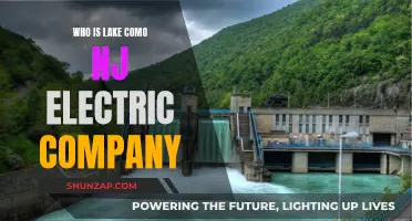 Lake Como, NJ: Who Powers the Lights?