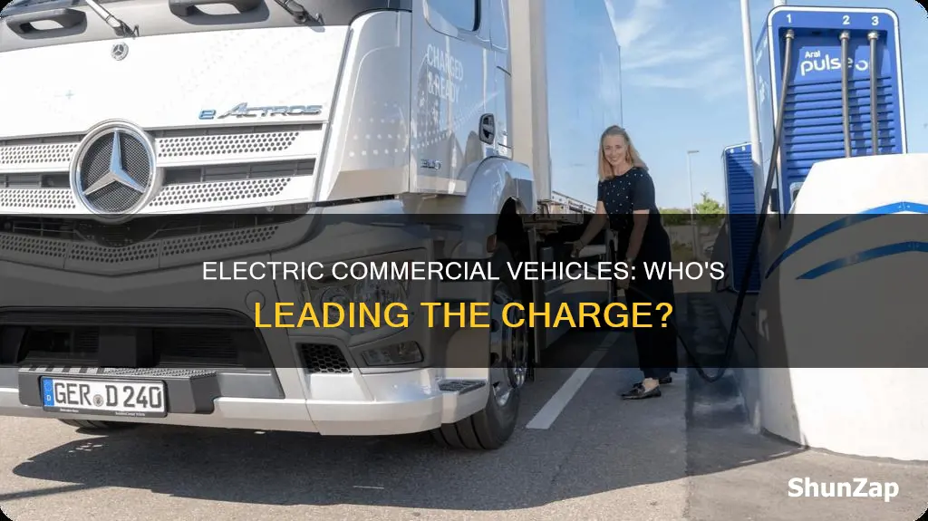 who is leading electric commercial vehicles