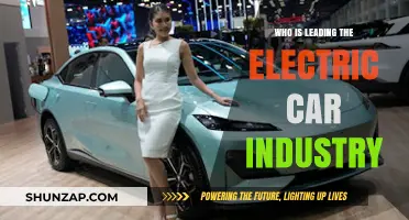 Electric Car Industry Leaders: Who's Dominating the Sustainable Mobility Revolution?