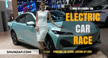 Electric Car Race: Who's Dominating the Sustainable Automotive Revolution?