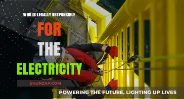 Understanding Electricity Liability: Who's Responsible?