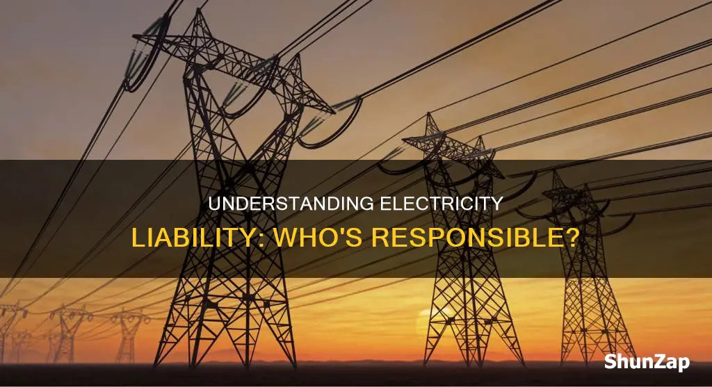 who is legally responsible for the electricity
