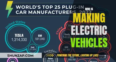 The Electric Revolution: Who's Driving the EV Industry Forward?