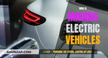 The Future of Electric Vehicles: Who's Leading the Charge?