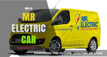 Who is Mr. Electric Car? Unveiling the Visionary Behind the Revolution