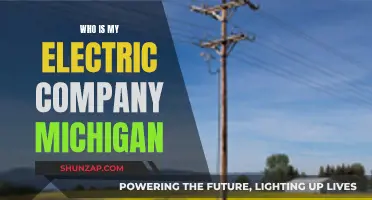 Uncover Your Michigan Electric Company: A Simple Guide