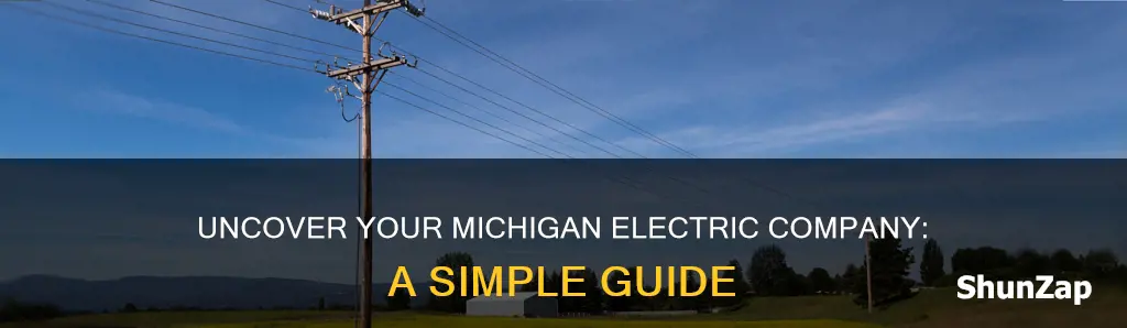 who is my electric company michigan