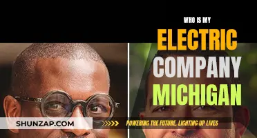 Michigan Electricity: Which Company Powers Your Home?