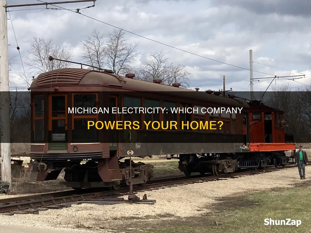 who is my electric company michigan