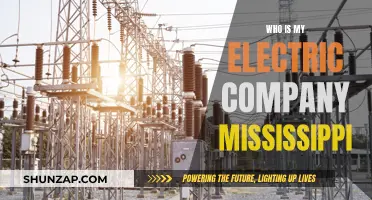 Unveiling Mississippi's Electric Power: Who's Your Provider?