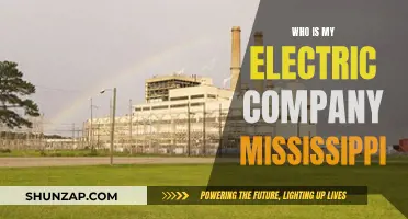 Electric Company Options in Mississippi: Who Powers My Home?