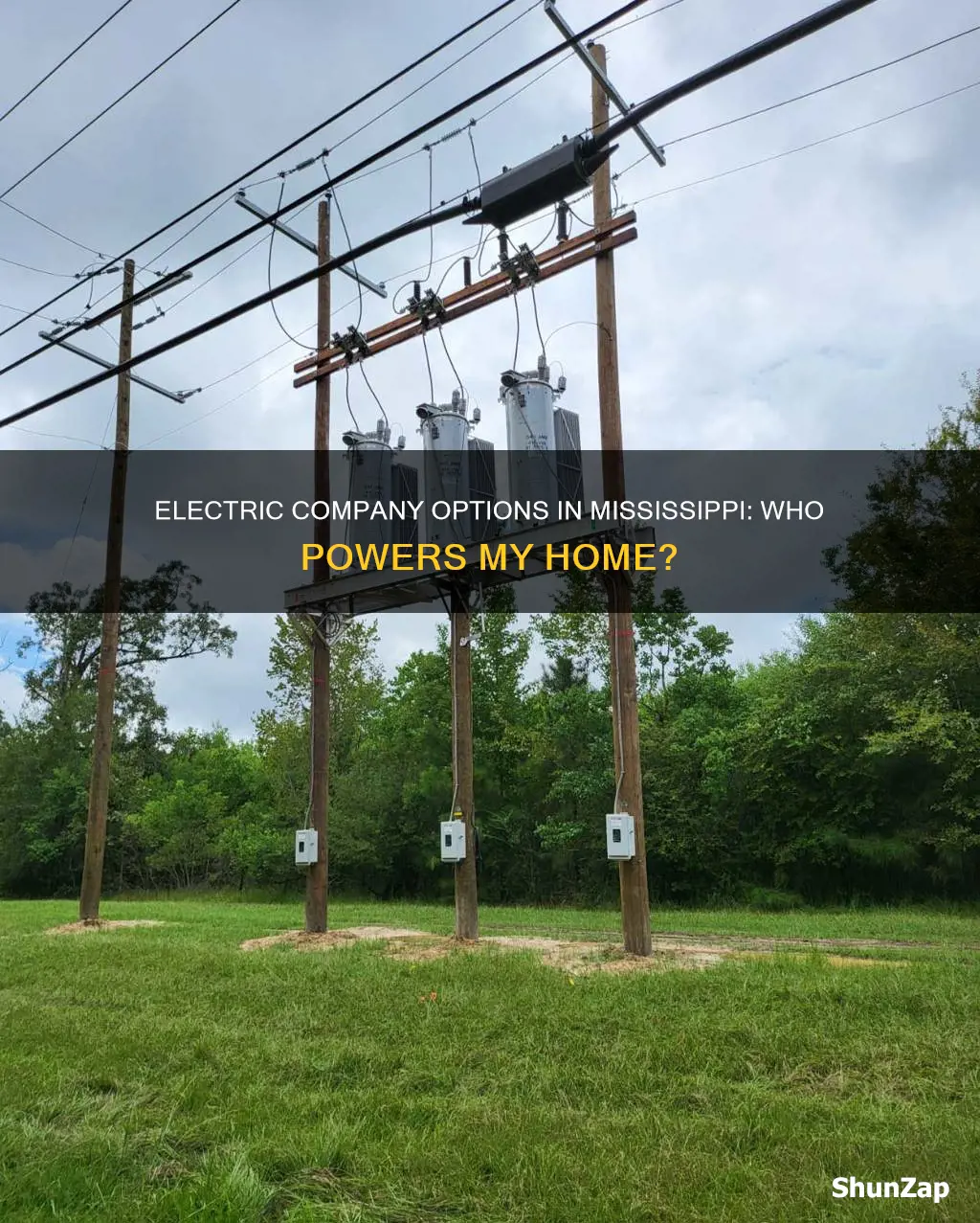 who is my electric company mississippi