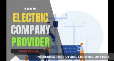 Uncover Your Electric Company Provider: A Guide to Energy Suppliers