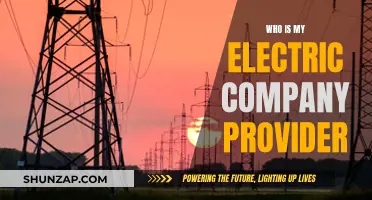 Electric Company Provider: Who Powers My Home?