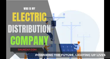 Uncover Your Electric Distribution Company: A Guide to Powering Your Home