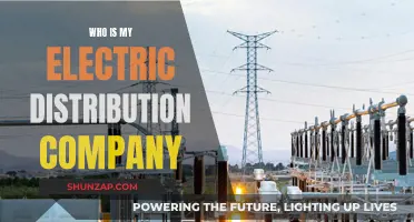 Electric Distribution Company: Who Powers Your Home?
