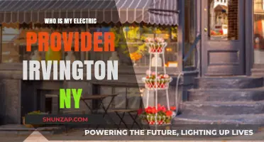 Electric Provider Options for Irvington, NY: What You Need to Know