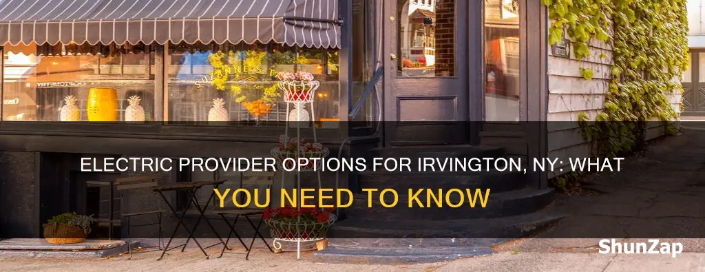 who is my electric provider irvington ny
