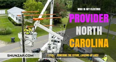 Electric Providers in North Carolina: Who Powers Your Home?