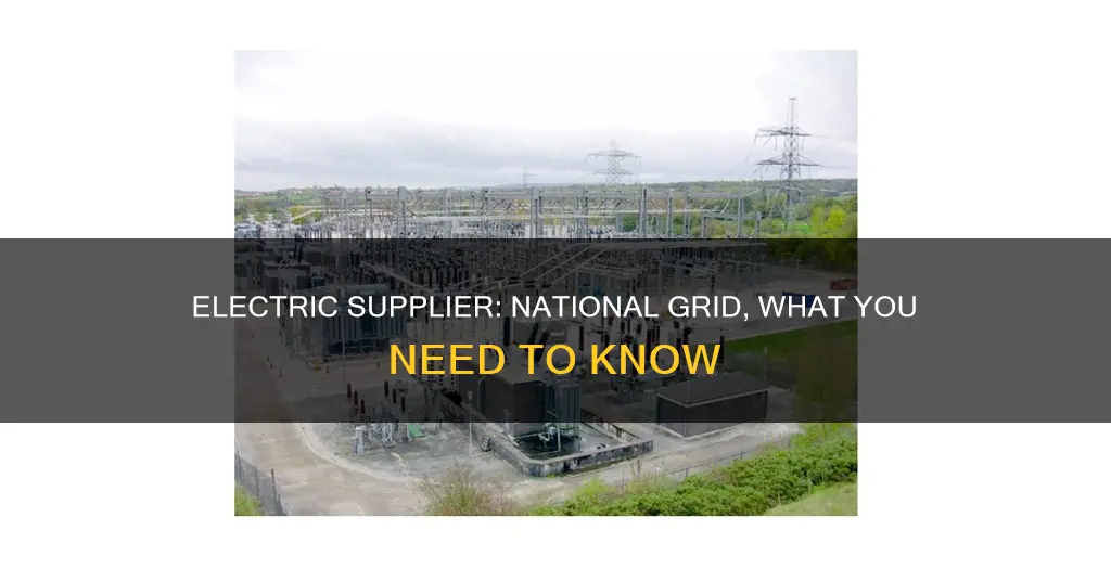who is my electric supplier national grid