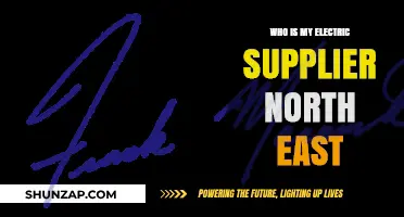 Electric Suppliers in North East: Who Powers Your Home?