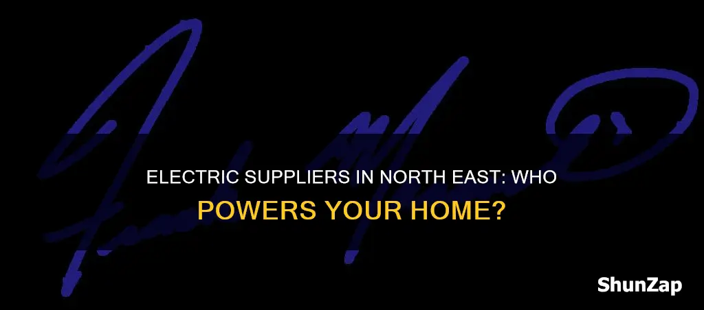 who is my electric supplier north east