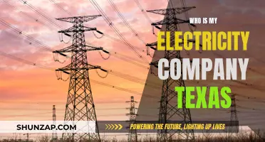 Unveiling Your Texas Power Partner: Who's Your Electricity Company?