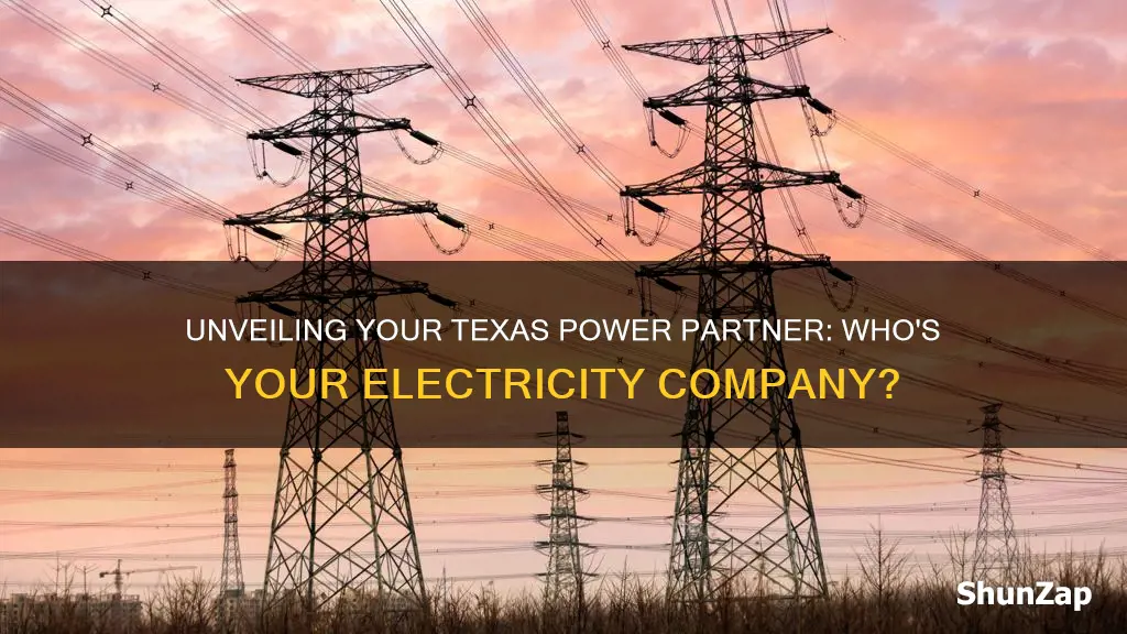 who is my electricity company texas