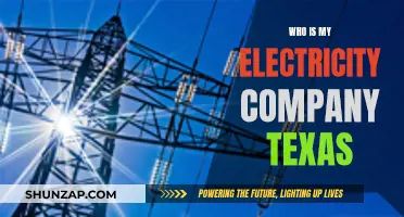 Texas Electricity Company: Who Powers My Home?