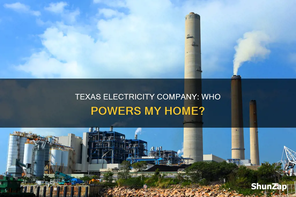 who is my electricity company texas