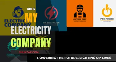 Switching Electricity Companies: Know Your Current Provider First