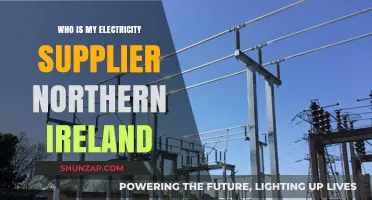 Northern Ireland's Electricity Supplier: Who Powers the Homes?