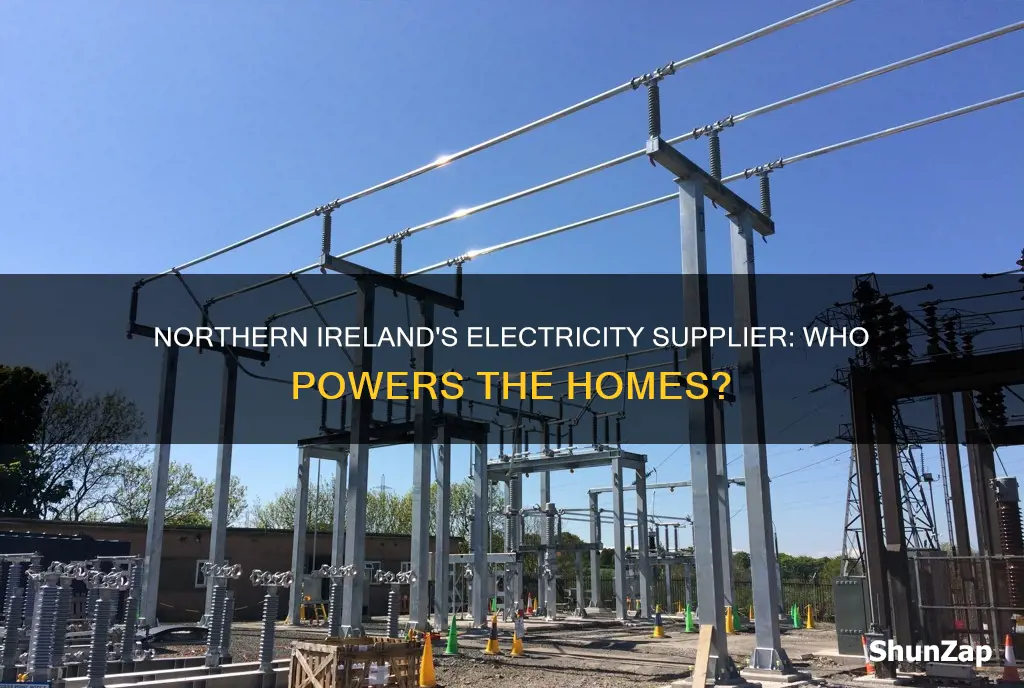 who is my electricity supplier northern ireland