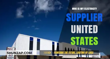 Electricity Supplier: How to Find Out in the United States