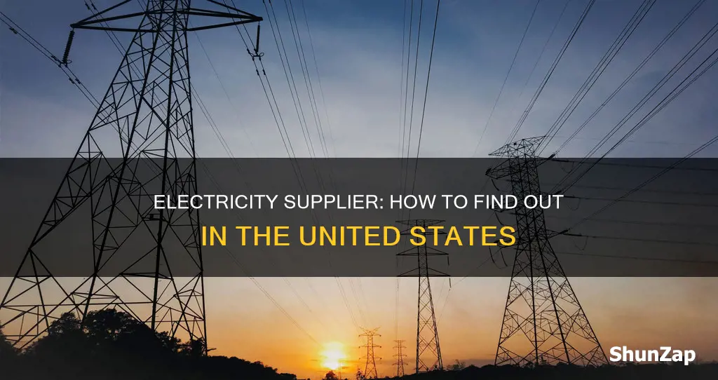 who is my electricity supplier united states