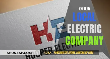 Local Electric Company: Who Powers Your Home?