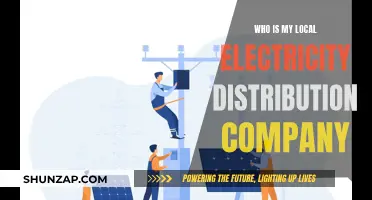 Unveiling Your Local Electricity Provider: A Guide to Distribution Companies